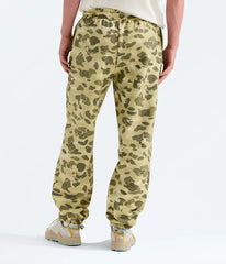 Men’s TNF™ Essential Simple Dome Pants—Print